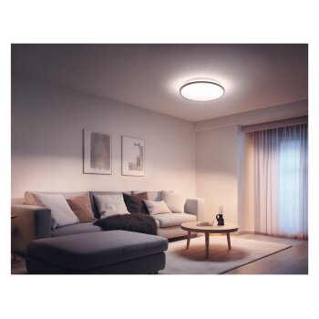 LIVARNO home Wand-/Decken-LED-Lampe, 33 cm - B-Ware...