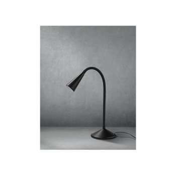 LIVARNO home LED-Tischleuchte, mit flexiblem Metallhals (schwarz) - B-Ware neuwertig