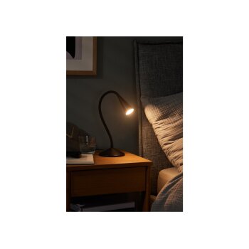 LIVARNO home LED-Tischleuchte, mit flexiblem Metallhals (schwarz) - B-Ware neuwertig
