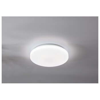 LIVARNO home LED-Badleuchte, ca. Ø 28 cm (Cover weiß/weiß) - B-Ware neuwertig