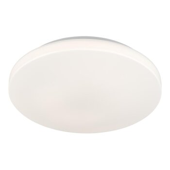 LIVARNO home LED-Badleuchte, ca. Ø 28 cm (Cover weiß/weiß) - B-Ware neuwertig