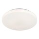 LIVARNO home LED-Badleuchte, ca. Ø 28 cm (Cover weiß/weiß) - B-Ware neuwertig