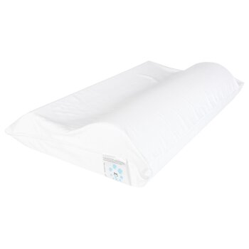 LIVARNO home Anti-Milben-Nackenstützkissen, 35 x 55 cm - B-Ware neuwertig