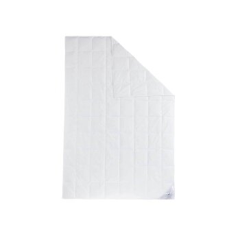 HÄUSSLING Sommerdecke, aus Daunen, 140 x 200 cm -...