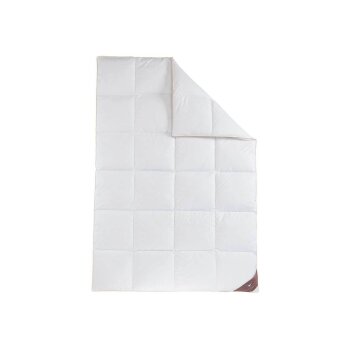 HÄUSSLING Royal Daunen-Kassettenbettdecke warm (155...