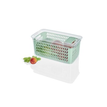 LIVARNO home Frischhaltebox / Frischhalteboxen-Set, mit herausnehmbarer Abtropfeinsatz (groß, grün) - B-Ware Transportschaden Kosmetisch