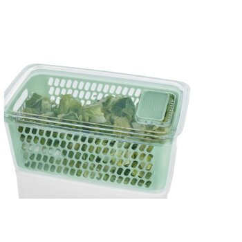 LIVARNO home Frischhaltebox / Frischhalteboxen-Set, mit herausnehmbarer Abtropfeinsatz (groß, grün) - B-Ware Transportschaden Kosmetisch