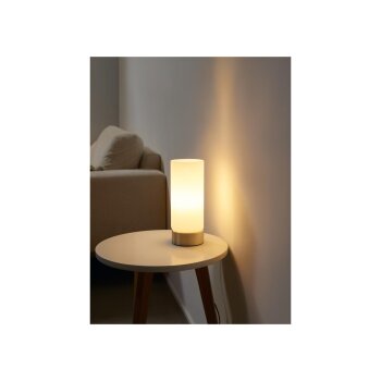 LIVARNO home LED-Tischleuchte mit Touch-Funktion, warmweiß ((Höhe 255mm) Glas weiß) - B-Ware neuwertig
