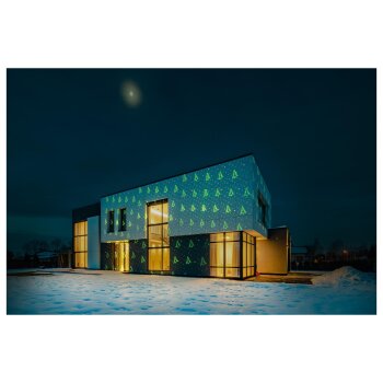 LIVARNO home Laser-Projektor, für den Innen- und...