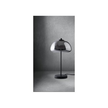 LIVARNO home LED-Tischleuchte, mit halbtransparentem Diffuser, 3 W - B-Ware