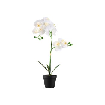 LIVARNO home Kunstpflanze Orchidee \ Kunstpflanze Ziergras \ Kunstpflanze Hortensie (Orchidee) - B-Ware sehr gut