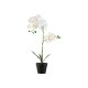 LIVARNO home Kunstpflanze Orchidee \ Kunstpflanze Ziergras \ Kunstpflanze Hortensie (Orchidee) - B-Ware sehr gut