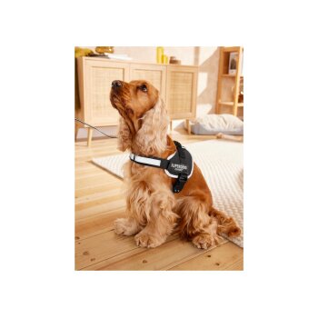 zoofari® Hundegeschirr, verstellbarer Brust- und Bauchgurt (XL) - B-Ware neuwertig