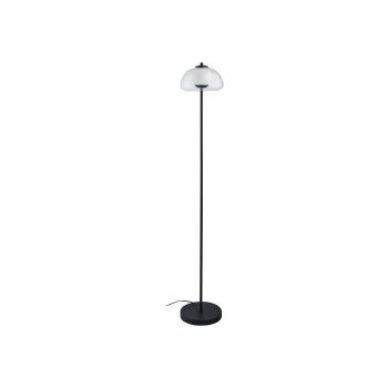 LIVARNO home Stehleuchte »Khepri«, 1-flammig (transparent) - B-Ware sehr gut