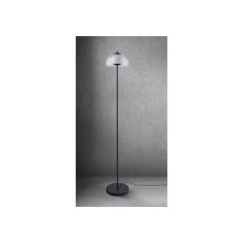 LIVARNO home Stehleuchte »Khepri«, 1-flammig (transparent) - B-Ware sehr gut