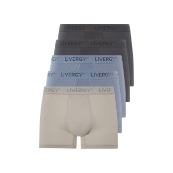 LIVERGY® Herren Boxer, 5 Stück, langes Bein (grau/blau, 7/XL) - B-Ware neuwertig