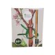 OwnGrown 50er Set Pflanzen-Klammern, M, grün - B-Ware sehr gut