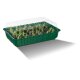 PARKSIDE® Anzuchtkasten-Set, mehrfach verwendbar - B-Ware sehr gut