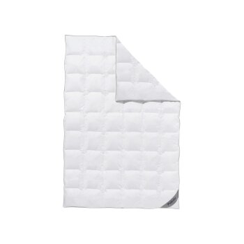 Balette Daunen-Kassettendecke Premium Selection 100%,...