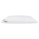 LIVARNO home Kopfkissen »Polygiene®«, 80 x 40 cm - B-Ware neuwertig