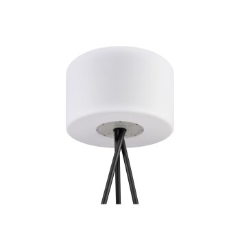 LIVARNO home Solar-Stehleuchte für innen und außen Solar-Standleuchte für innen und außen (Außenstehleuchte 3-Bein) - B-Ware gut
