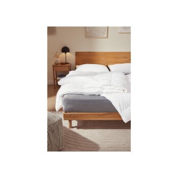 LIVARNO home Kopfkissen mit tierfreundlicher Füllung, 80 x 80 cm - B-Ware neuwertig