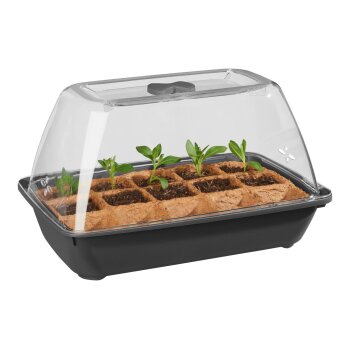PARKSIDE® Mini-Gewächshaus mit Bio-Saatgut (Bio-Gemüsegarten) - B-Ware sehr gut