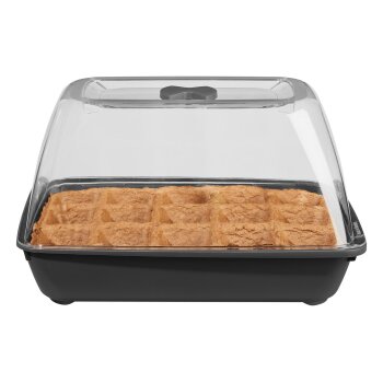 PARKSIDE® Mini-Gewächshaus mit Bio-Saatgut (Bio-Gemüsegarten) - B-Ware sehr gut