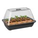 PARKSIDE® Mini-Gewächshaus mit Bio-Saatgut (Bio-Gemüsegarten) - B-Ware sehr gut