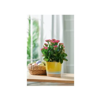 LIVARNO home Übertopf / Vase, aus glasierter Keramik (Gelb) - B-Ware neuwertig