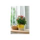 LIVARNO home Übertopf / Vase, aus glasierter Keramik (Gelb) - B-Ware neuwertig