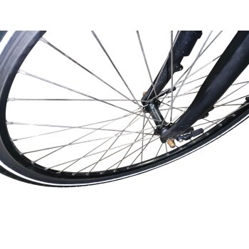 Colorado Bull City E-Bike »Black Dames«  28 Zoll - B-Ware Transportschaden