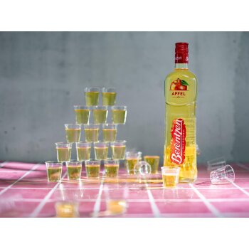Berentzen Apfel 18% Vol