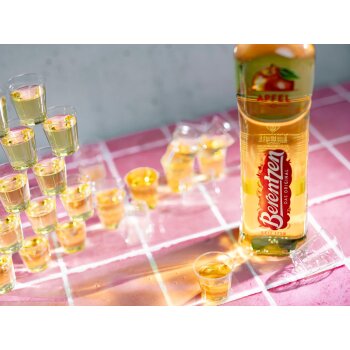 Berentzen Apfel 18% Vol