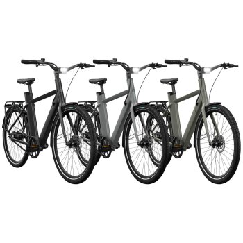 CRIVIT E-Bike »Urban X.3« GATES...