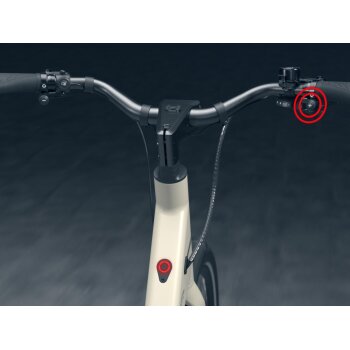 CRIVIT E-Bike »Urban X.3« GATES...