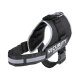 zoofari® Hundegeschirr, mit reflektierenden Deko-Elementen (Schwarz, M) - B-Ware sehr gut