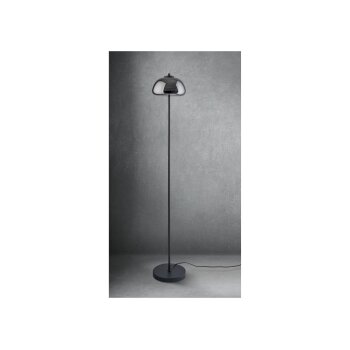 LIVARNO home LED-Stehleuchte, Lampenschirm aus hochwertigem Glas (Grauglas) - B-Ware neuwertig