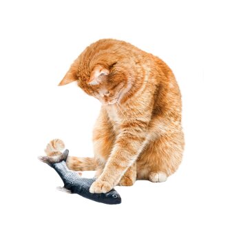 zoofari® Interaktives Katzenspielzeug - B-Ware