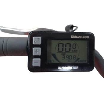 Colorado Bull City E-Bike »Black Dames«  28 Zoll - B-Ware Transportschaden