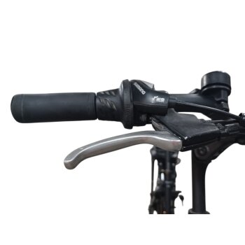 Colorado Bull City E-Bike »Black Dames«  28 Zoll - B-Ware Transportschaden