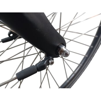 Colorado Bull City E-Bike »Black Dames«  28 Zoll - B-Ware Transportschaden