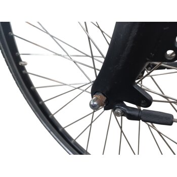 Colorado Bull City E-Bike »Black Dames«  28 Zoll - B-Ware Transportschaden