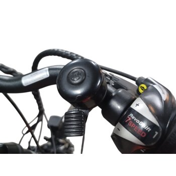 Colorado Bull City E-Bike »Black Dames«  28 Zoll - B-Ware Transportschaden