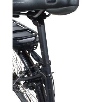 Colorado Bull City E-Bike »Black Dames«  28 Zoll - B-Ware Transportschaden