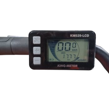 Colorado Bull City E-Bike »Black Dames«  28 Zoll - B-Ware Transportschaden