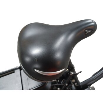 Colorado Bull City E-Bike »Black Dames«  28 Zoll - B-Ware Transportschaden