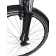 Colorado Bull City E-Bike »Black Dames«  28 Zoll - B-Ware Transportschaden