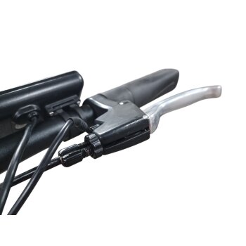 Colorado Bull City E-Bike »Black Dames«  28 Zoll - B-Ware Transportschaden