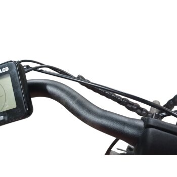 Colorado Bull City E-Bike »Black Dames«  28 Zoll - B-Ware Transportschaden